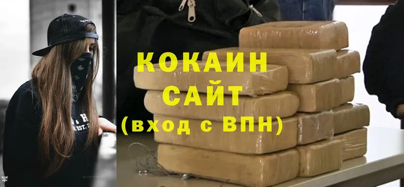 продажа наркотиков  Белозерск  Cocaine FishScale 